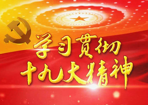 關(guān)于認真學(xué)習(xí)宣傳貫徹黨的十九大精神的實施方案