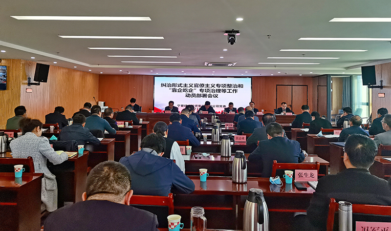 寧夏建投黨委召開糾治形式主義官僚主義專項(xiàng)整治和“靠企吃企”專項(xiàng)治理等工作 動(dòng)員部署會(huì)議