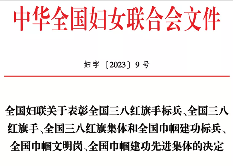 喜報(bào) 王海琳榮獲全國三八紅旗手