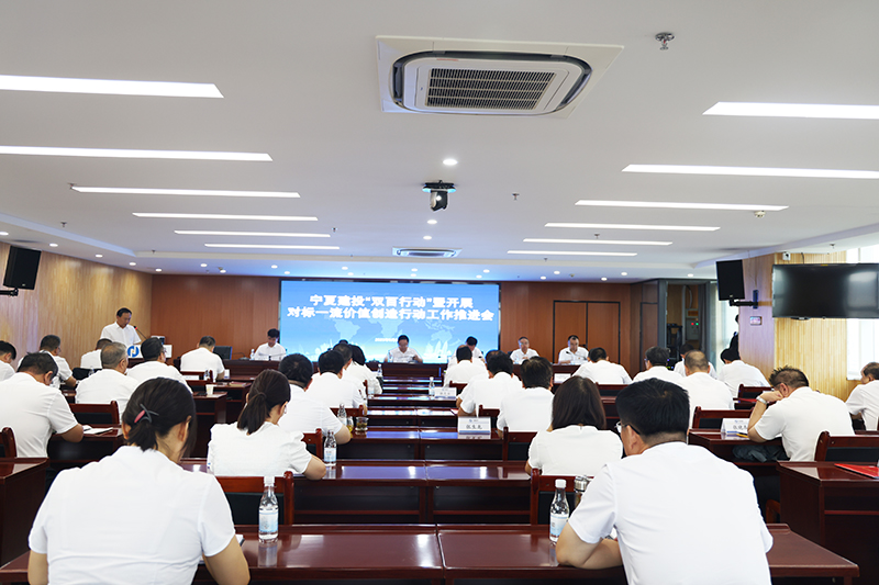 寧夏建投召開“雙百行動”暨開展對標一流價值創(chuàng)造行動工作推進會