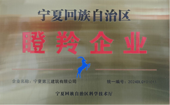 寧夏三建獲評“自治區(qū)瞪羚企業(yè)”